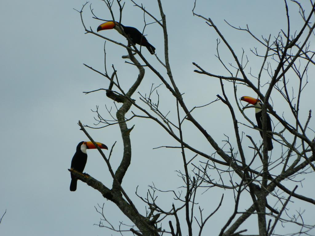 Pousada Nova Estancia Socorro  Eksteriør bilde