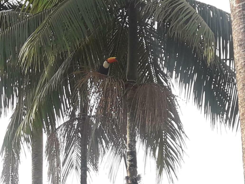 Pousada Nova Estancia Socorro  Eksteriør bilde